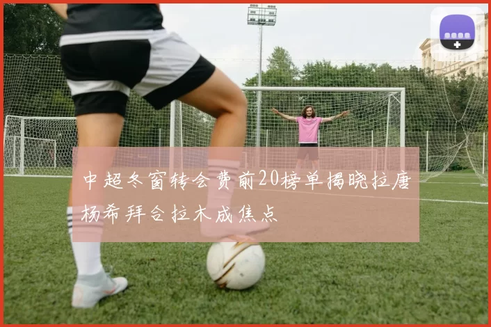 中超冬窗转会费前20榜单揭晓拉唐杨希拜合拉木成焦点