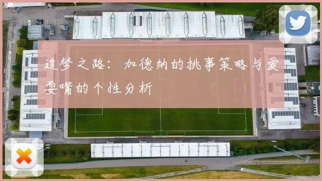 追梦之路：加德纳的挑事策略与爱耍嘴的个性分析