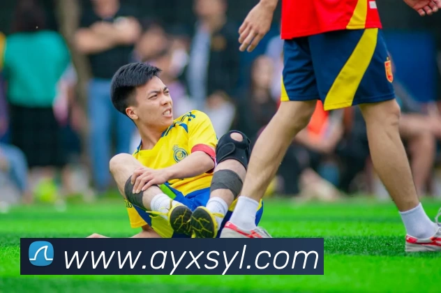 爱游戏体育娱乐平台生态图