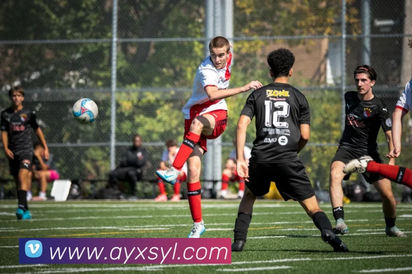 爱游戏体育娱乐APP 封面图