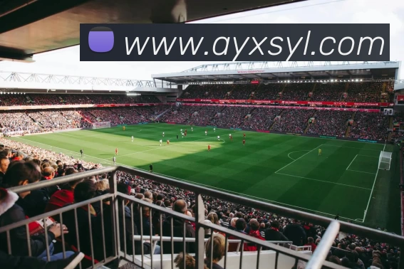 奖项1